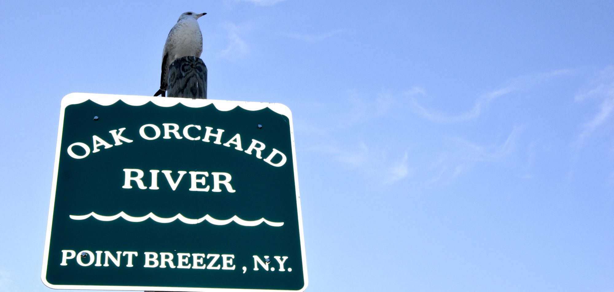 Courtesy of Joseph Waszak and Orleans County Tourism